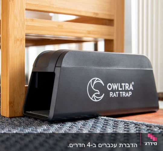 מלכודת חולדות אלקטרונית מונחת על הרצפה לצד מרהיב עץ